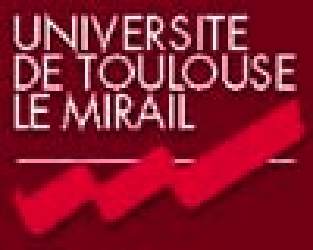 logo Univ Toulouse